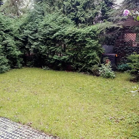 Secesja Cracovia